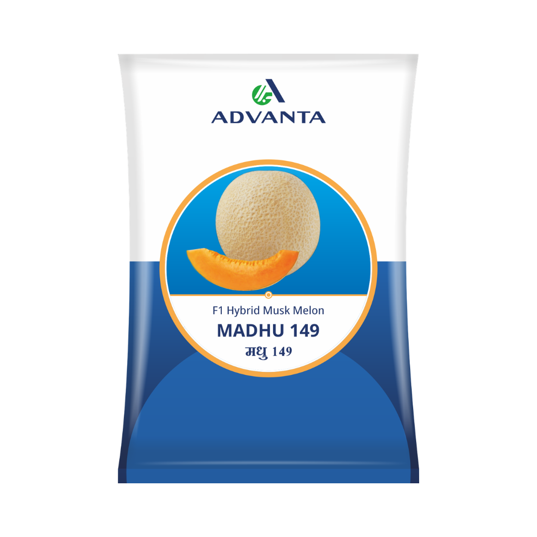 Madhu 149 Muskmelon Seeds - Advanta | F1 Hybrid | Buy Online at Best Price