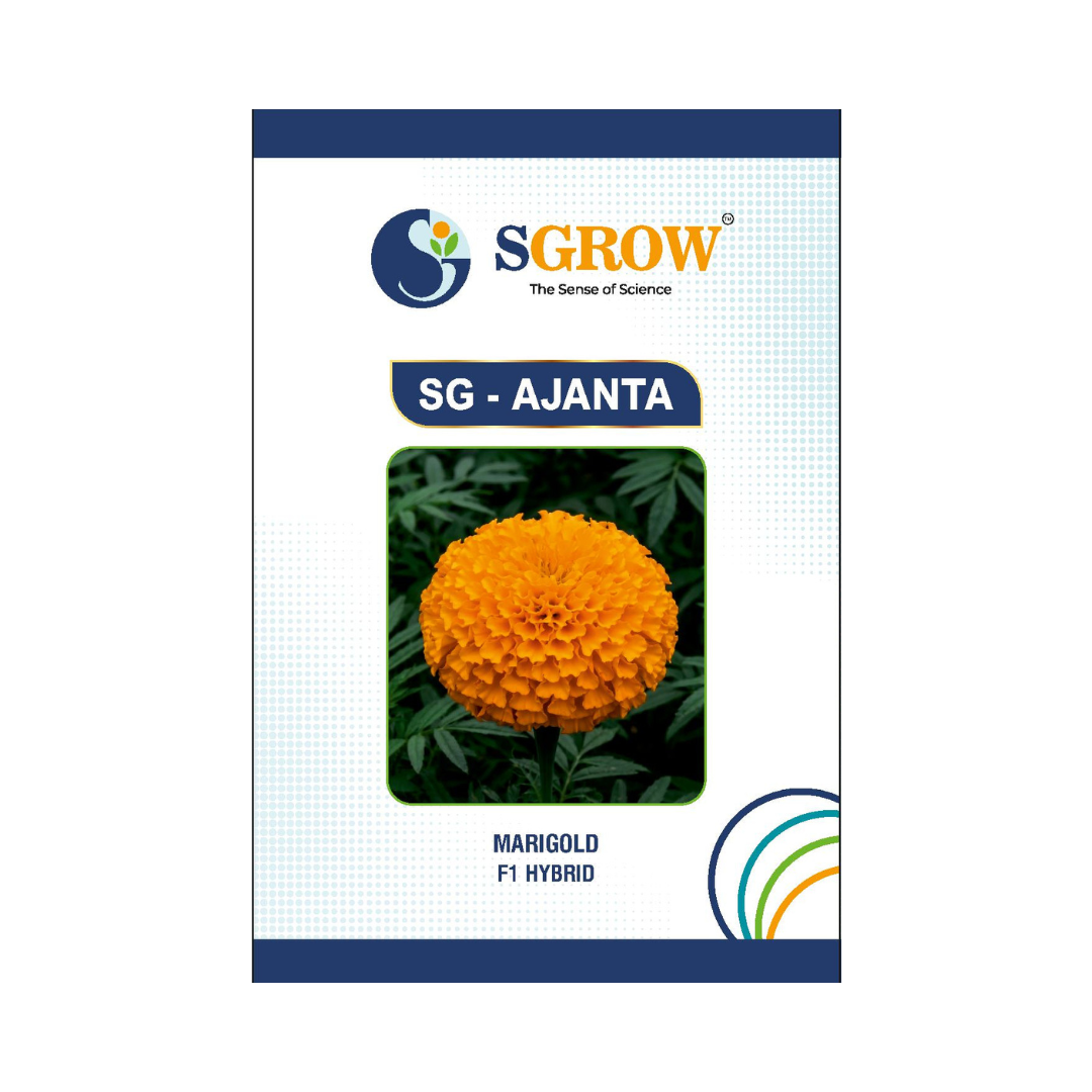 SG-Ajanta Marigold Seeds