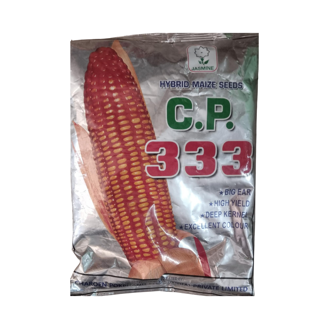 C.P. 333 Maize Seeds