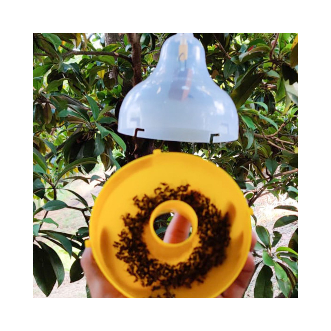 Maxplus Trap Fruit Fly Trap (Pack of 10) - Green Revolution | Buy Now