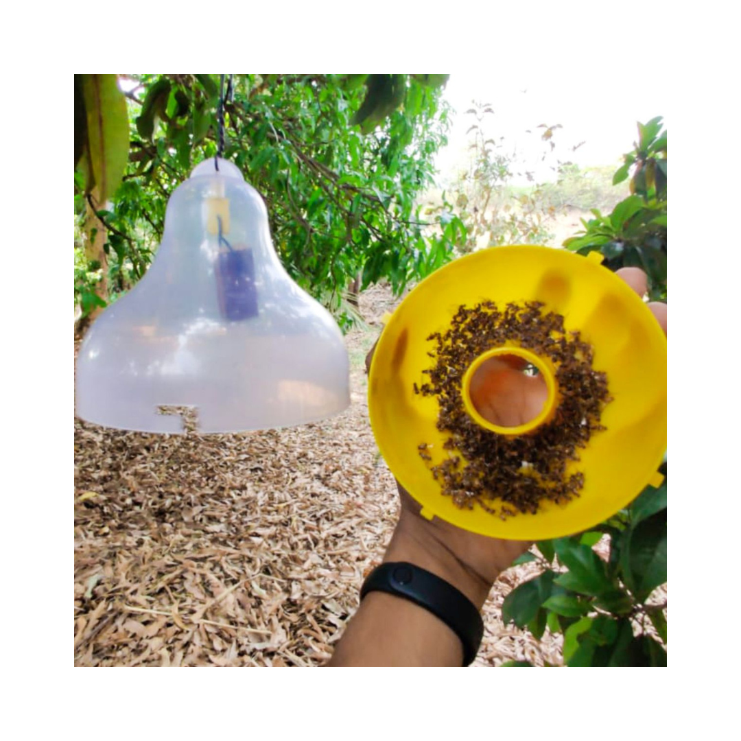 Maxplus Trap With Fruit Fly Lure - Green Revolution | Buy Online Now