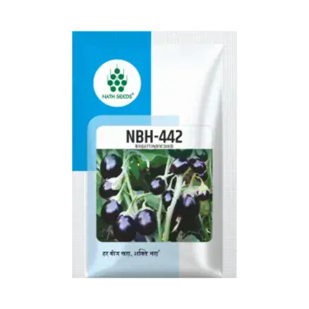 NBH-442 Brinjal Seeds - Nath | F1 Hybrid | Buy Online at Best Price