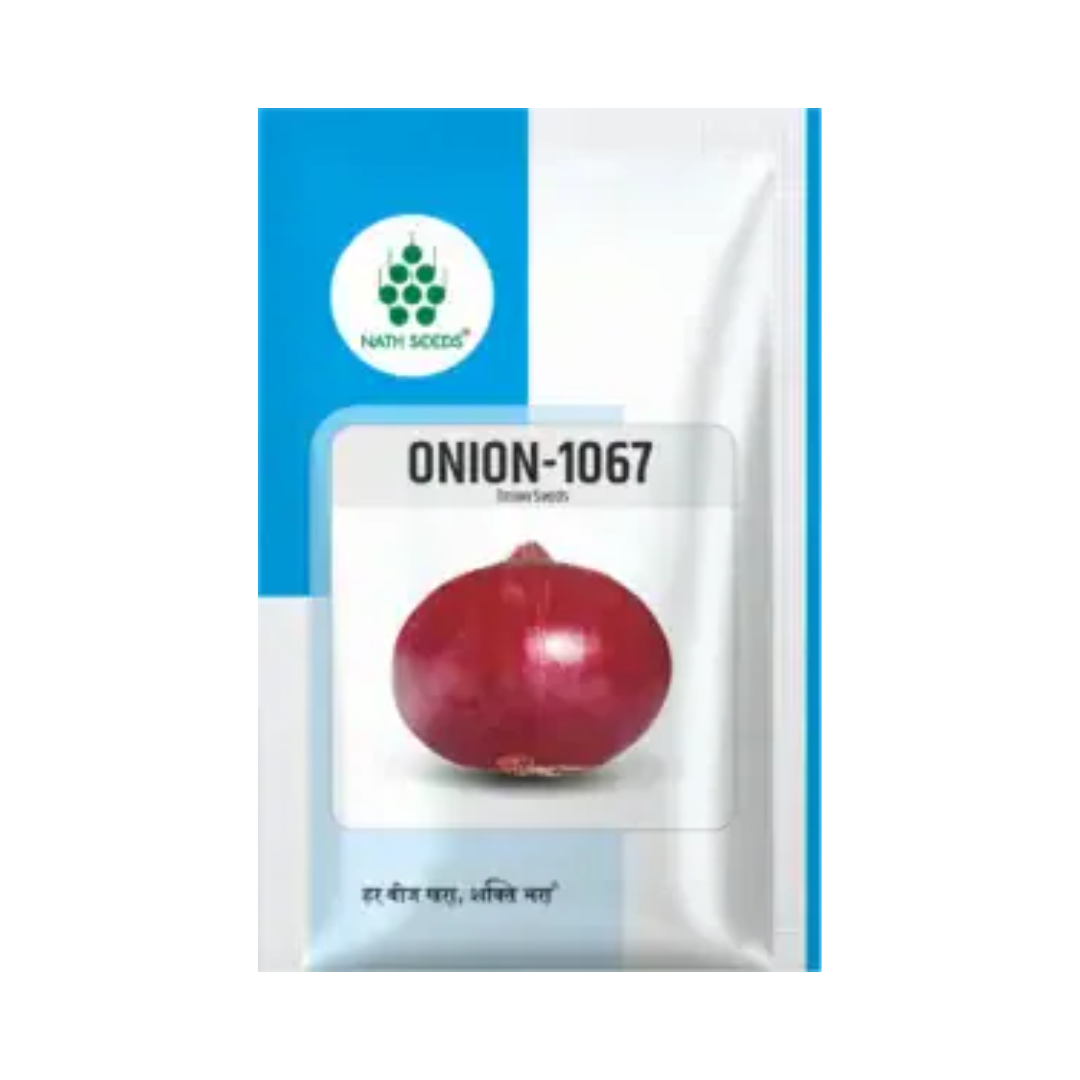 NOH-1067 Onion Seeds - Nath | F1 Hybrid | Buy Online at Best Price