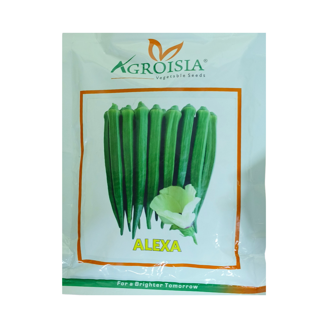 Alexa Bhendi Seeds - Agroisia | F1 Hybrid | Buy Online Now