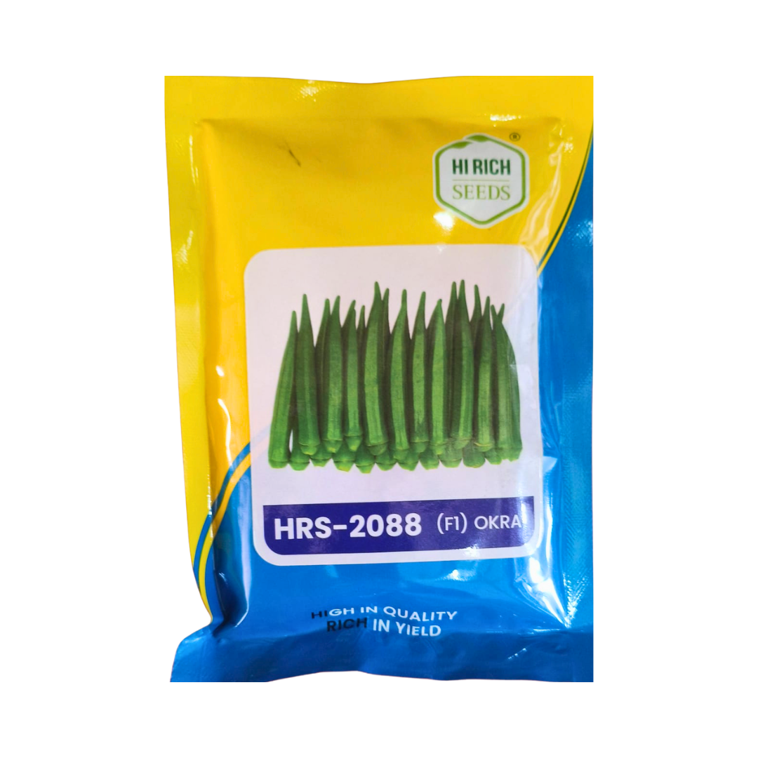 HRS-2088 Bhendi Seeds - Hi Rich Seeds | F1 Hybrid | Buy Online Now