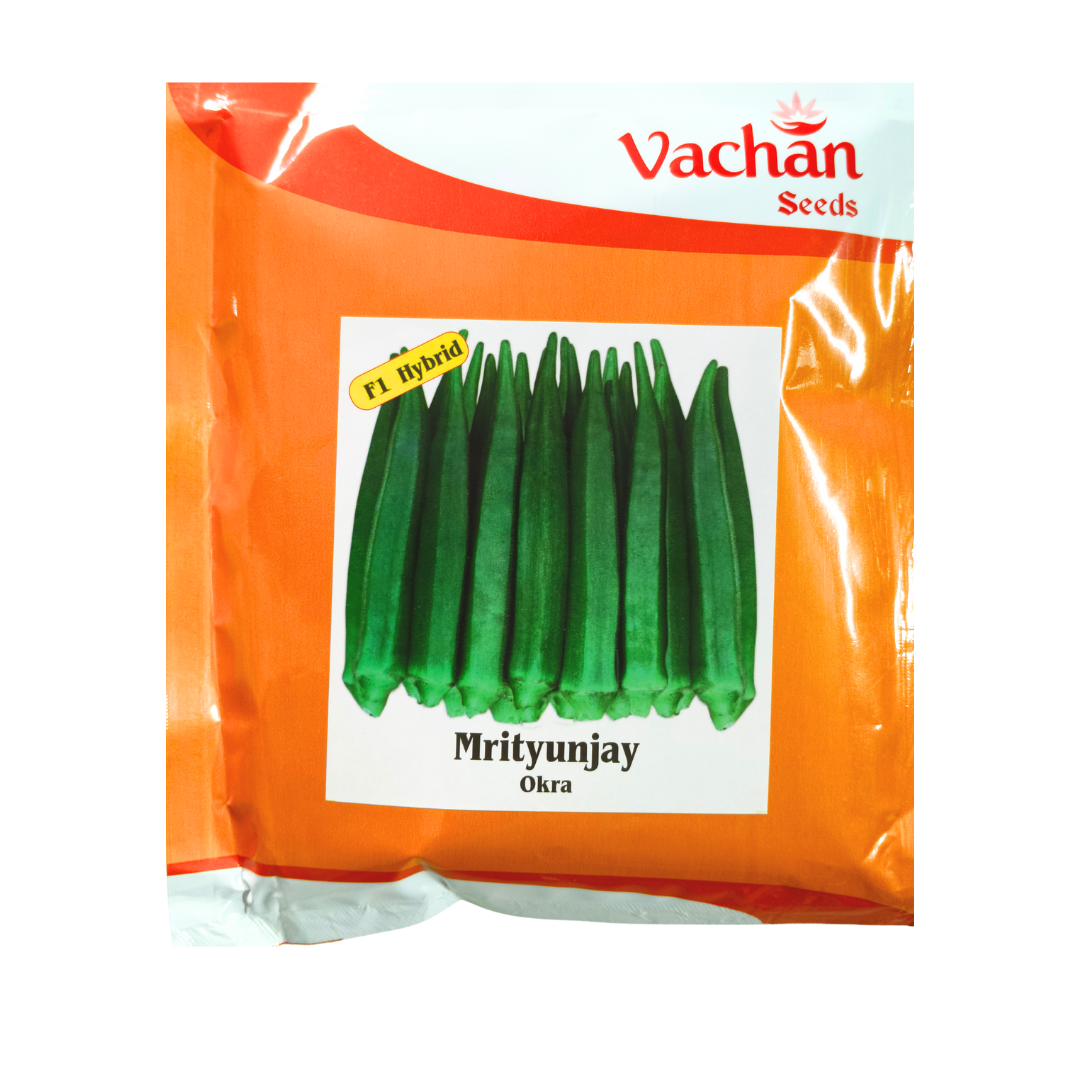 Mrityunjay Okra (Bhendi) Seeds - Vachan Seeds | F1 Hybrid | Buy online