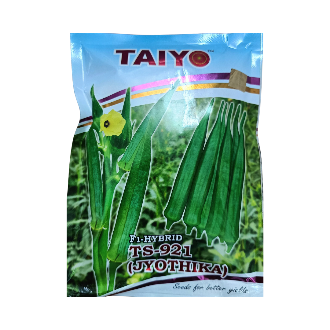 TS-921 (Jyothika) Bhendi Seeds - Taiyo | F1 Hybrid | Buy Online Now