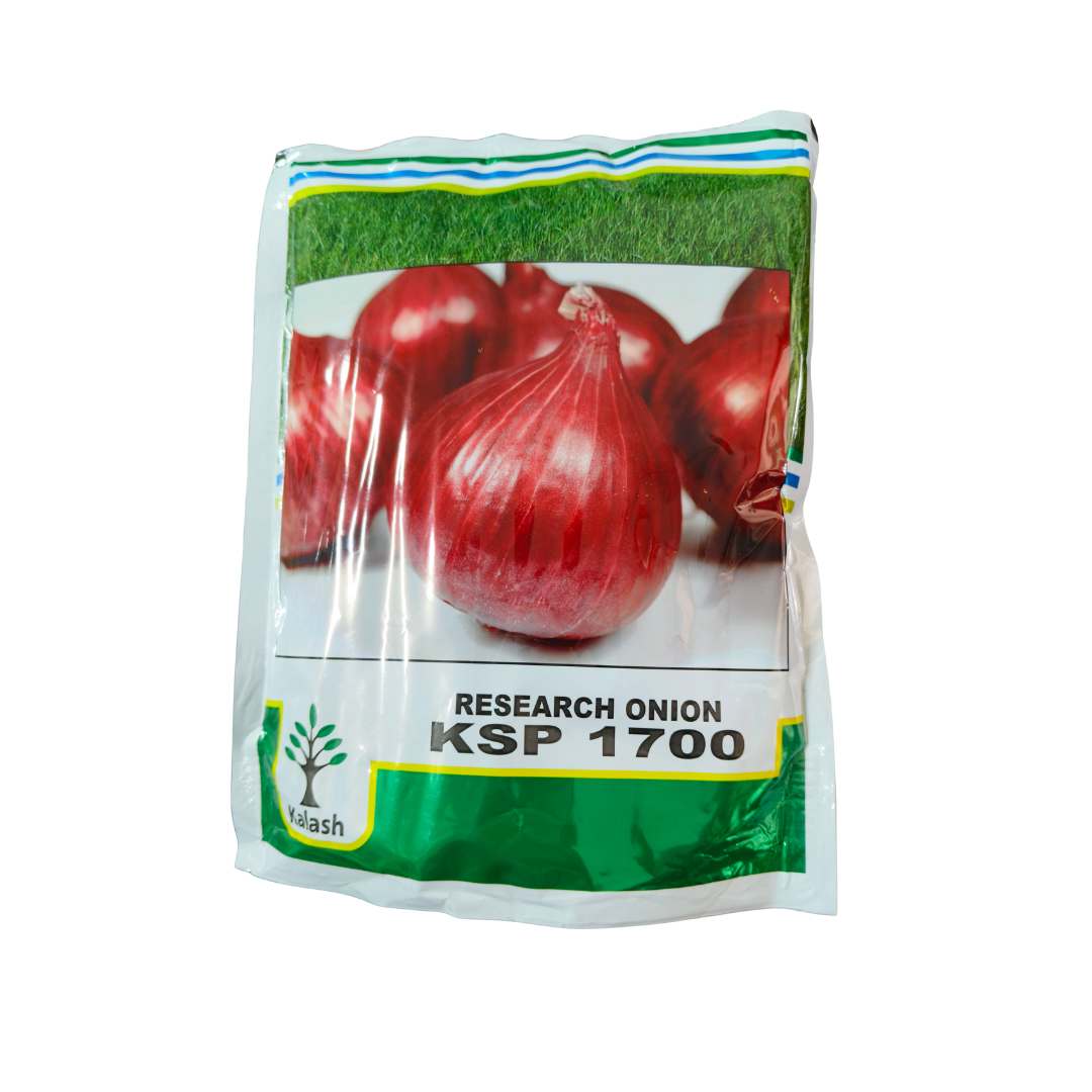 KSP 1700 Onion Seeds - Kalash | F1 Hybrid | Buy Online Now - Desikheti