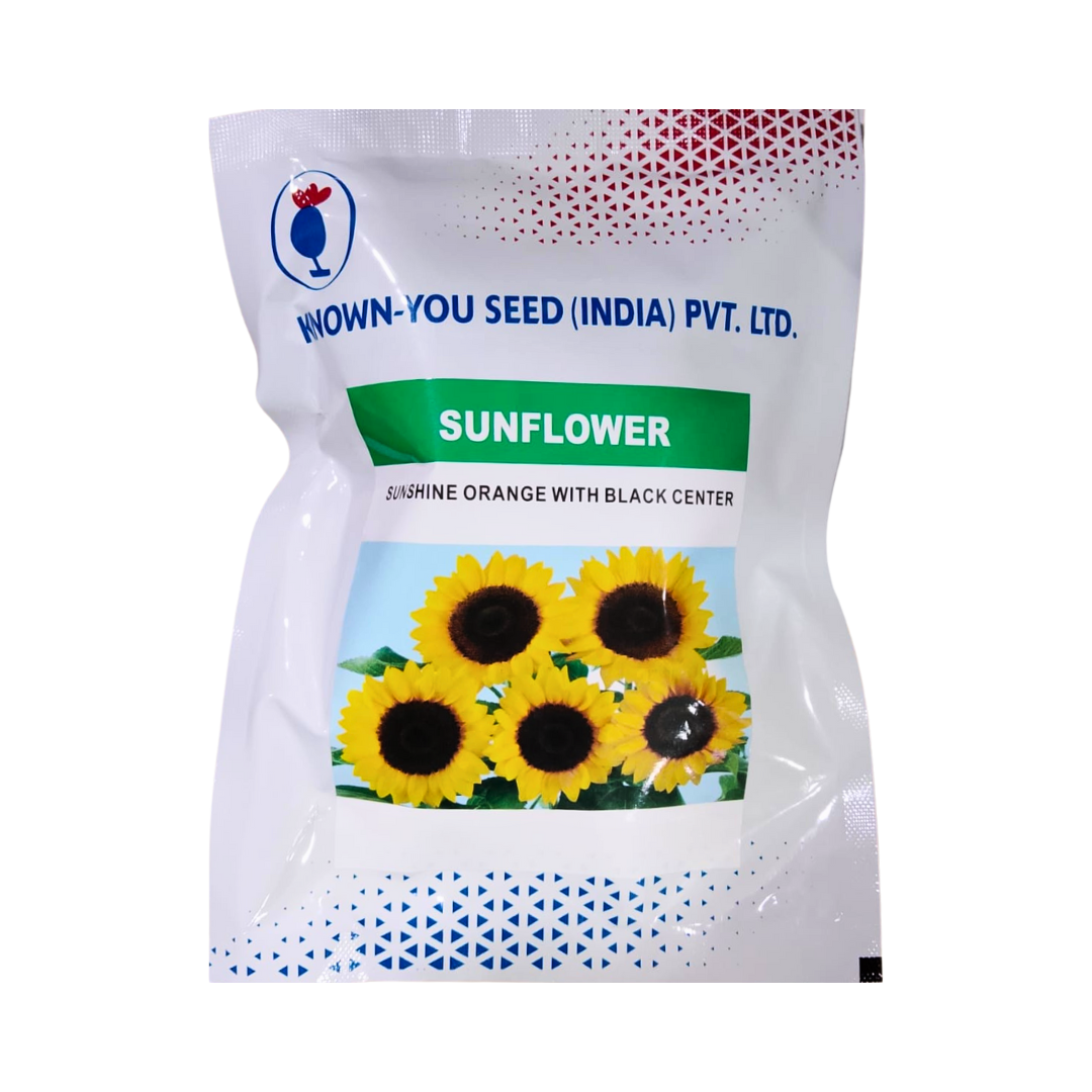 Sunshine Orange with Black Center Ornamental Sunflower Seeds