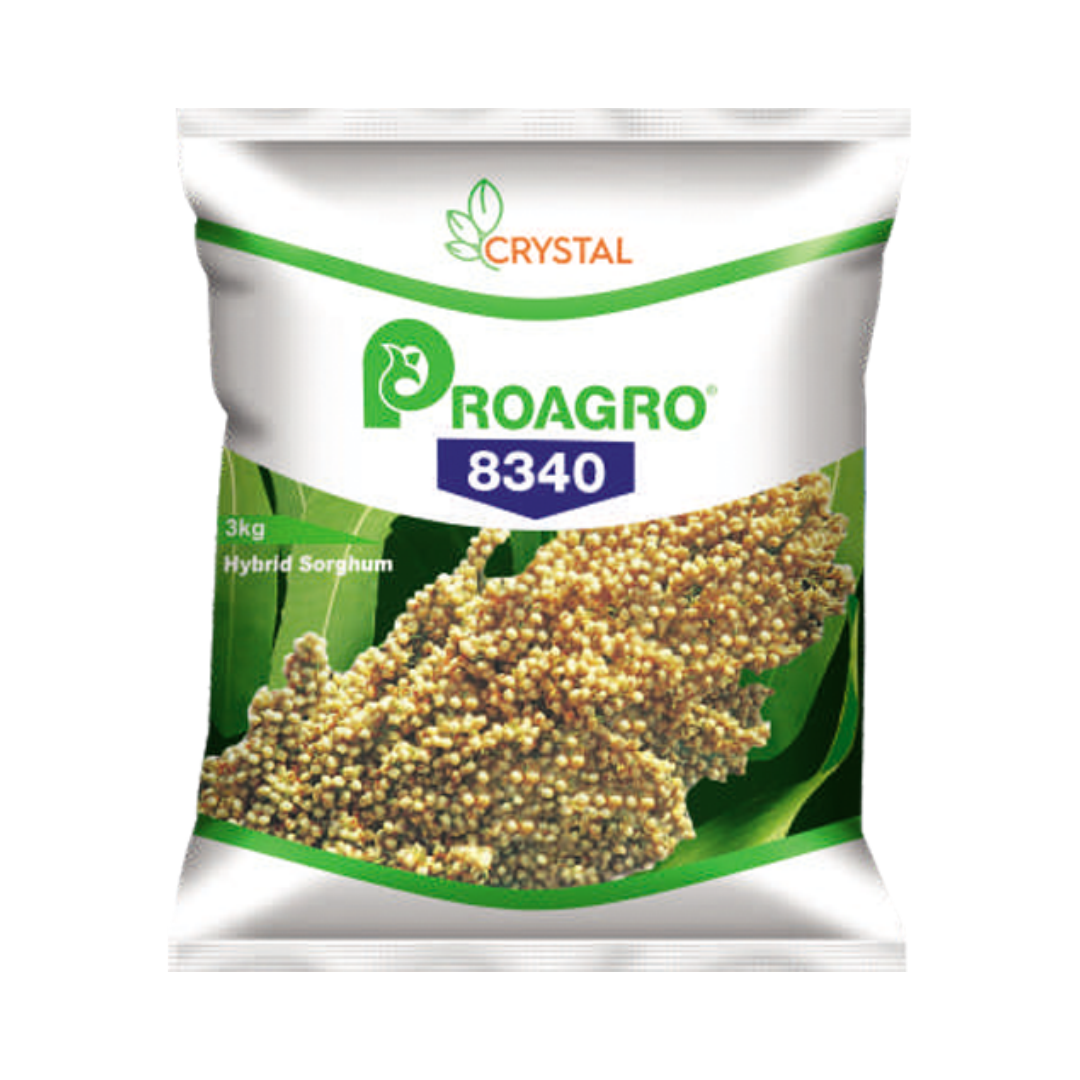 PA 8340 Jowar Seeds - Crystal | Buy Online at Best Price - DesiKheti