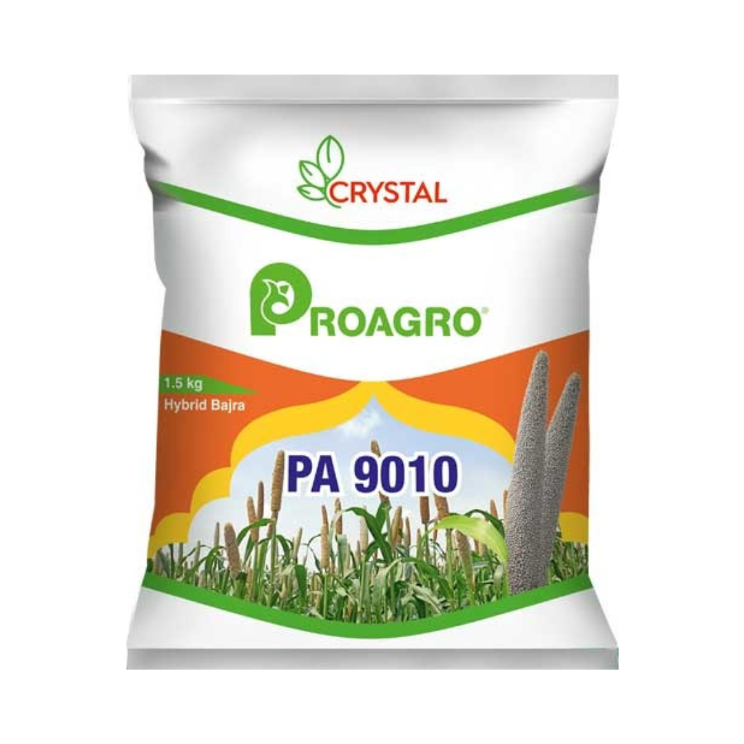 PA 9010 Bajra Seeds - Crystal | F1 Hybrid | Buy Online at Best Price