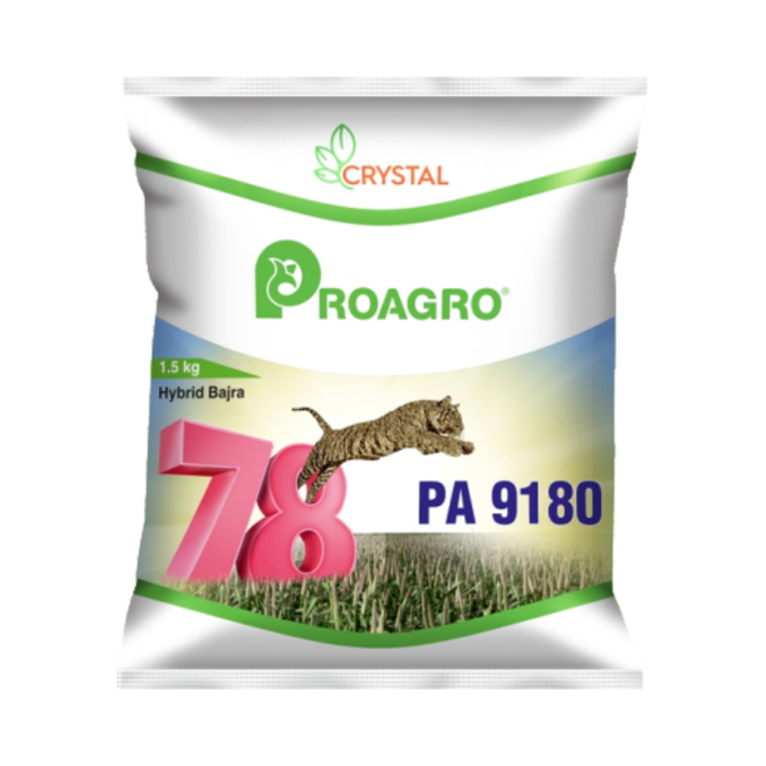PA 9180 Bajra Seeds