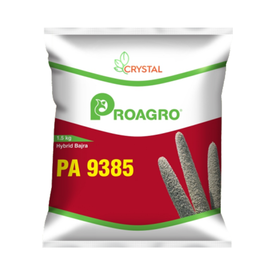 PA 9385 Bajra Seeds - Crystal | F1 Hybrid | Buy Online at Best Price