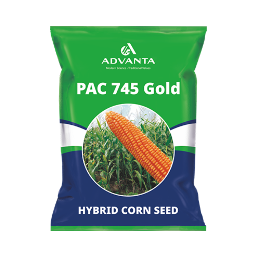 PAC 745 Gold Corn Seeds - Advanta | F1 Hybrid | Buy Online at Best Price