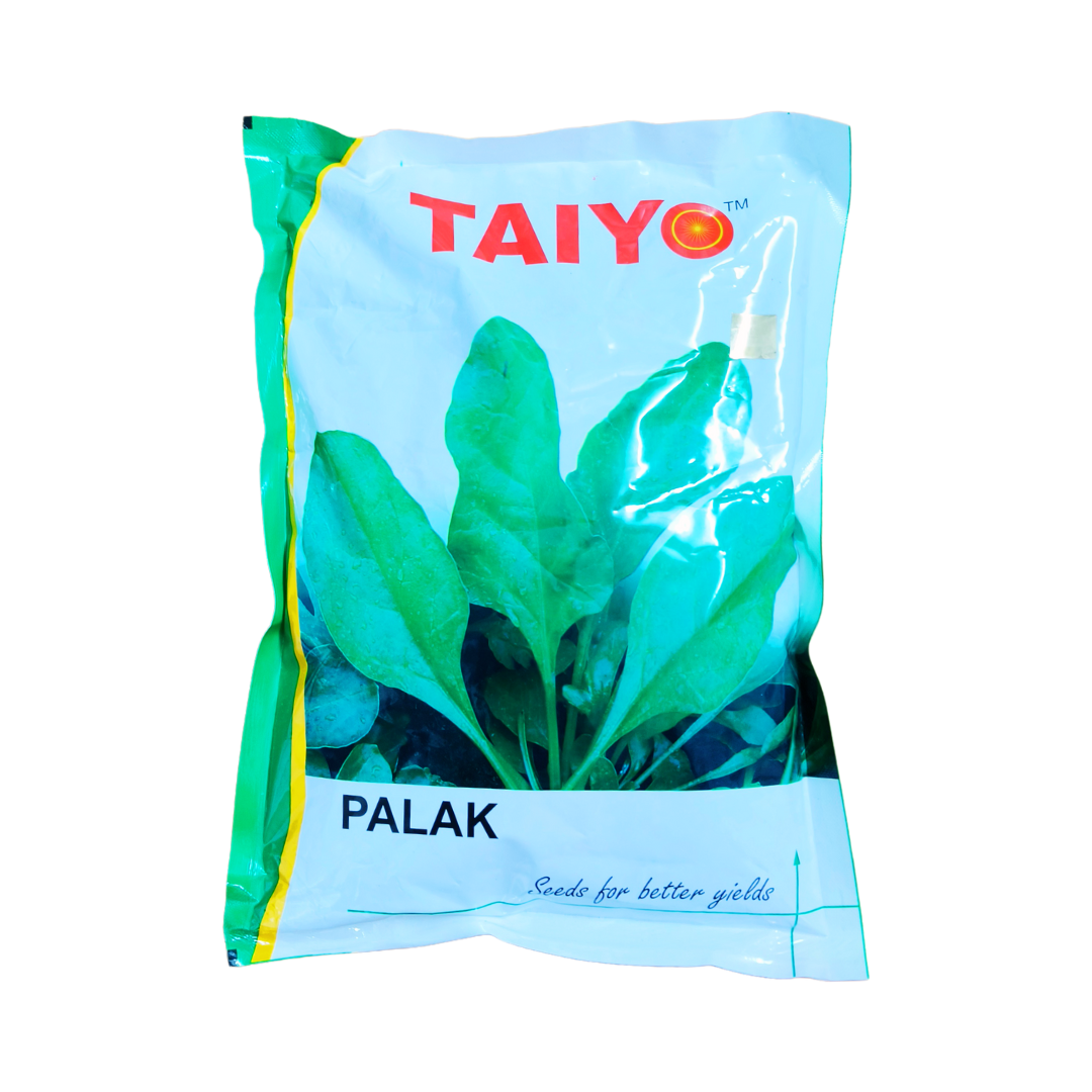 All Green Palak Seeds - Taiyo | F1 Hybrid | Buy Online - DesiKheti