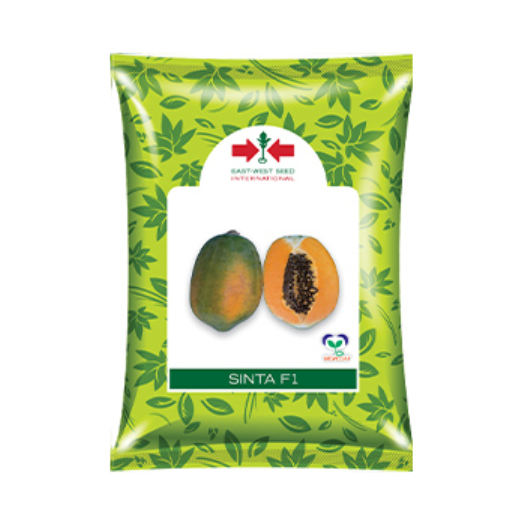 Sinta Papaya Seeds - East West | F1 Hybrid | Buy Online at Best Price