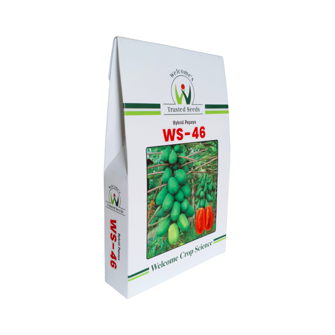 WS - 46 Papaya Seeds - Welcome | F1 Hybrid | Buy Online at Best Price