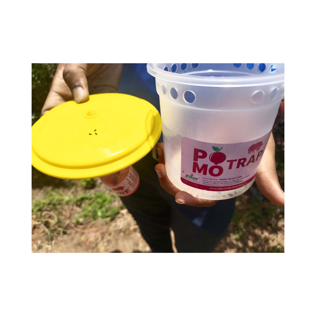 Pomo Trap With Pomo Lure - Green Revolution | Buy Online Now