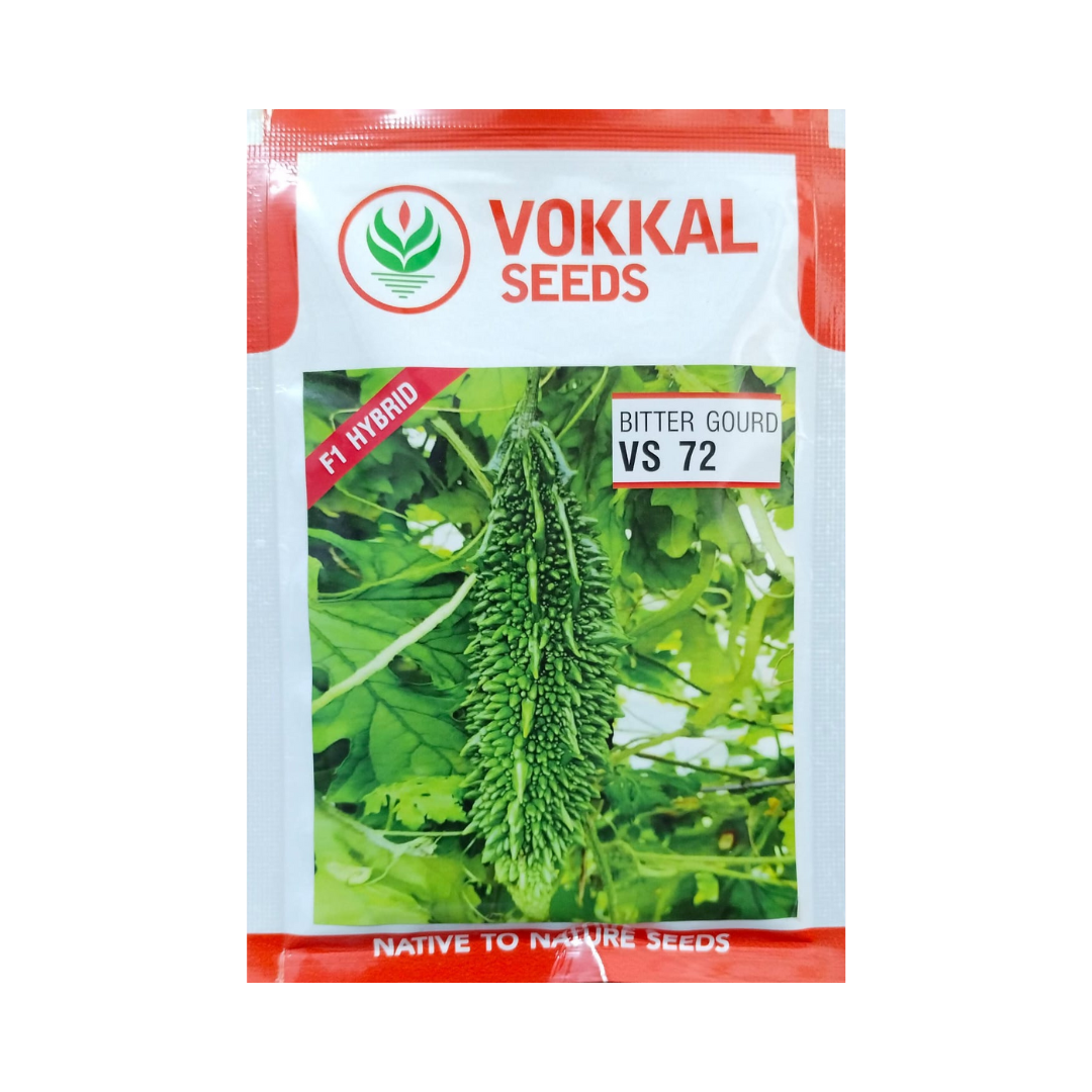 VS 72 Bitter Gourd Seeds - Vokkal Seeds | F1 Hybrid | Buy Online Now