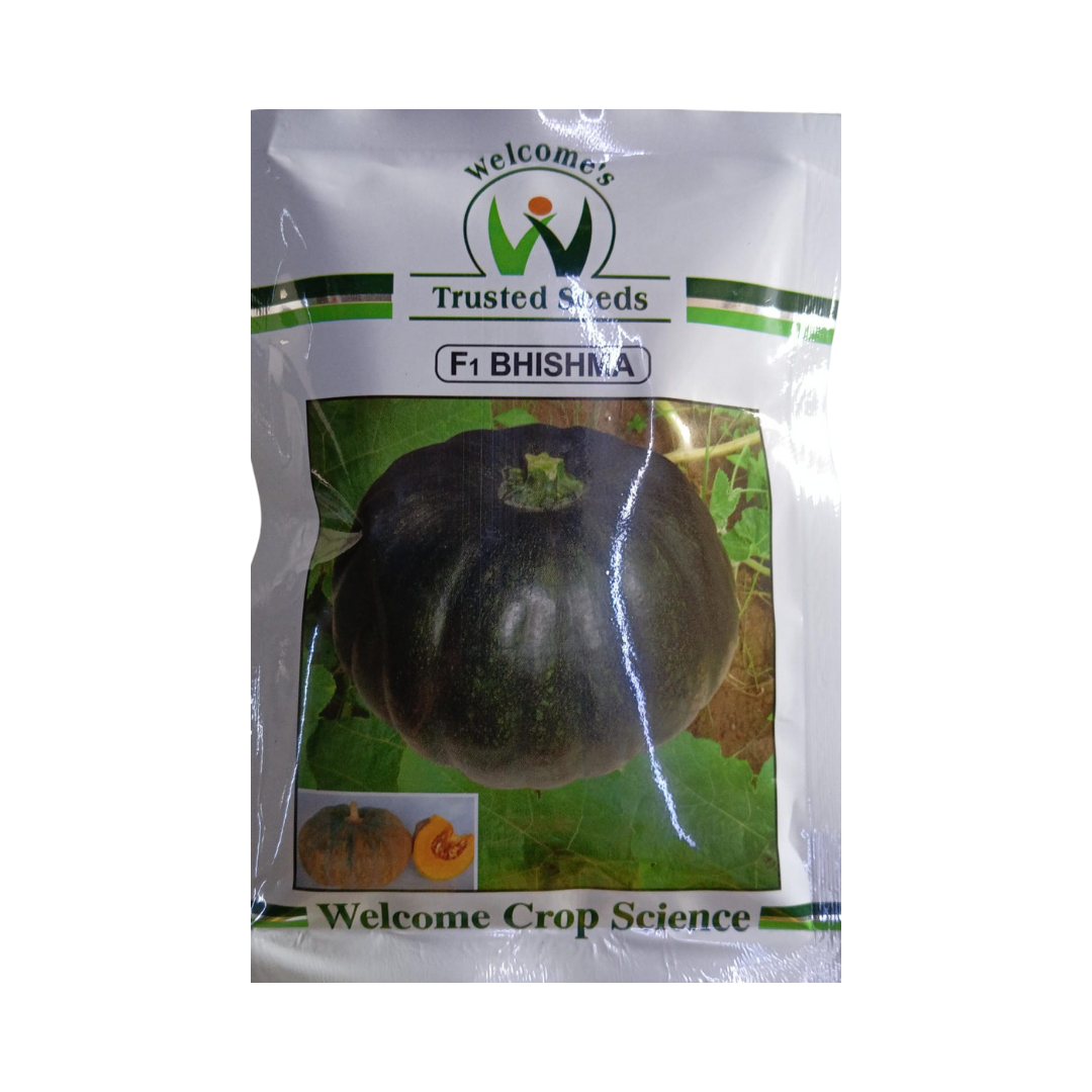 Bhishma Pumpkin Seeds - Welcome | F1 Hybrid | Buy Online at Best Price