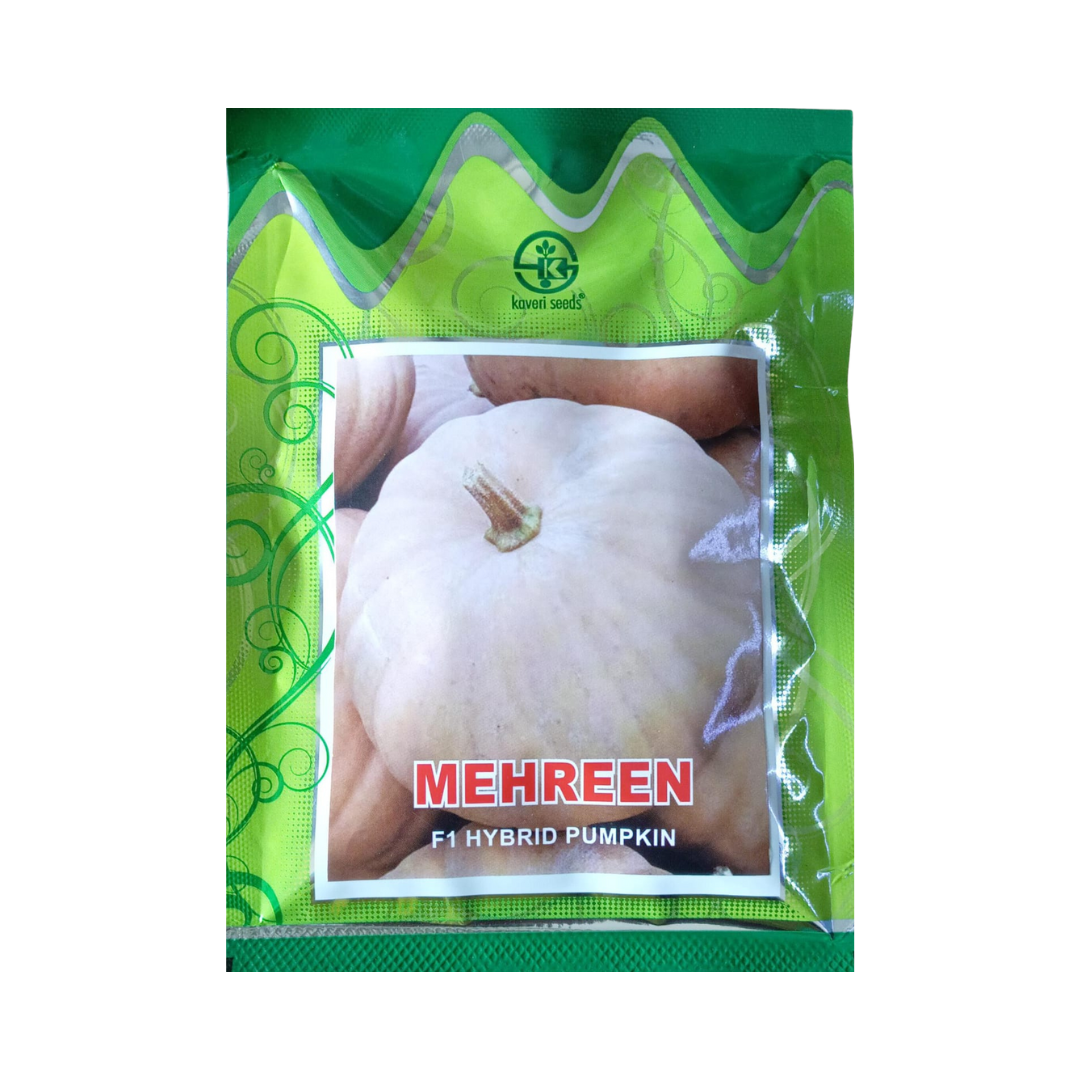Mehreen Pumpkin Seeds - Kaveri | F1 Hybrid | Buy Online at Best Price