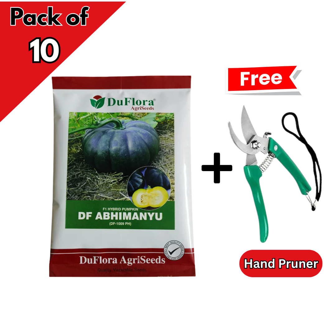DF Abhimanyu Pumpkin Seeds
