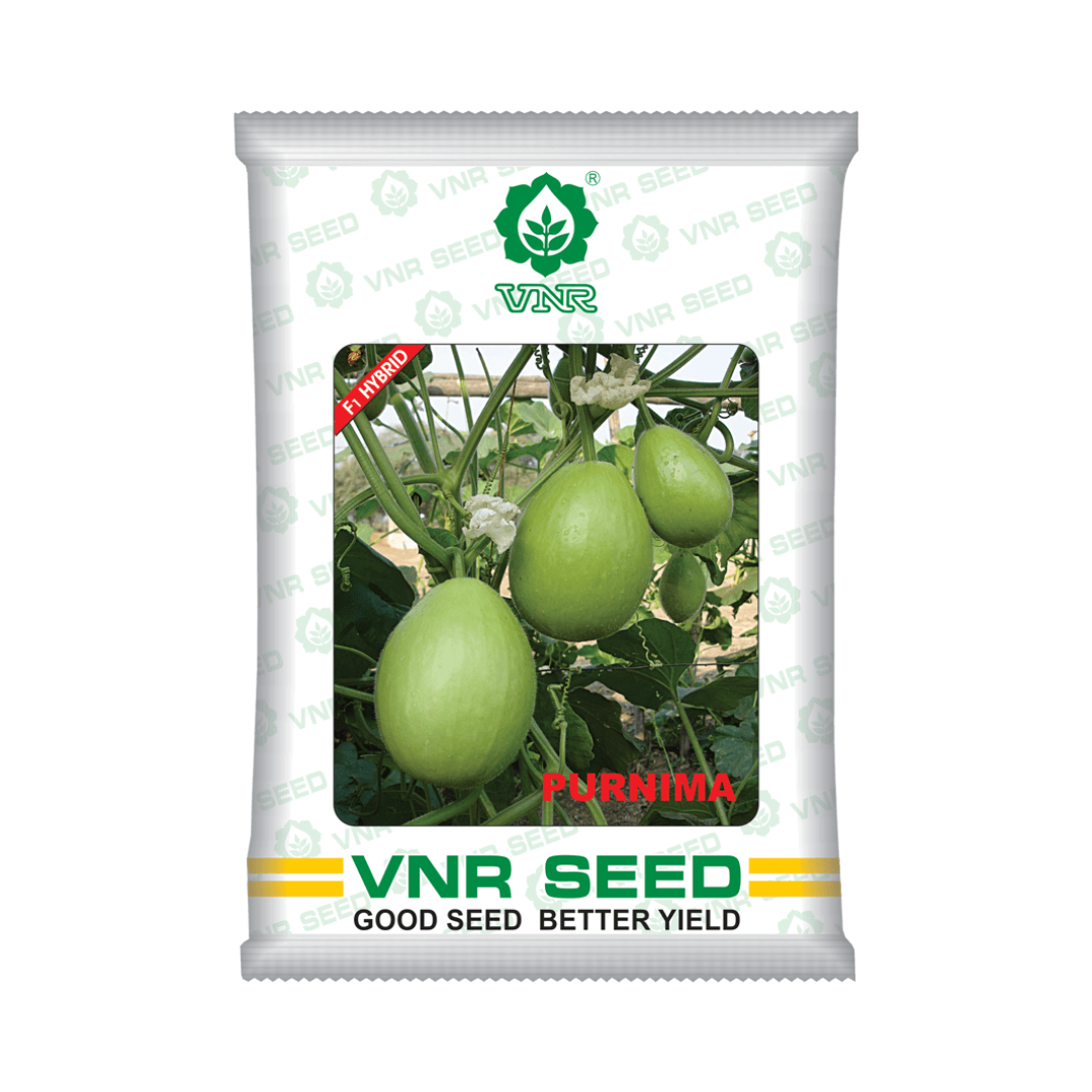 Purnima Bottle Gourd Seeds - VNR | F1 Hybrid | Buy Online at Best Price