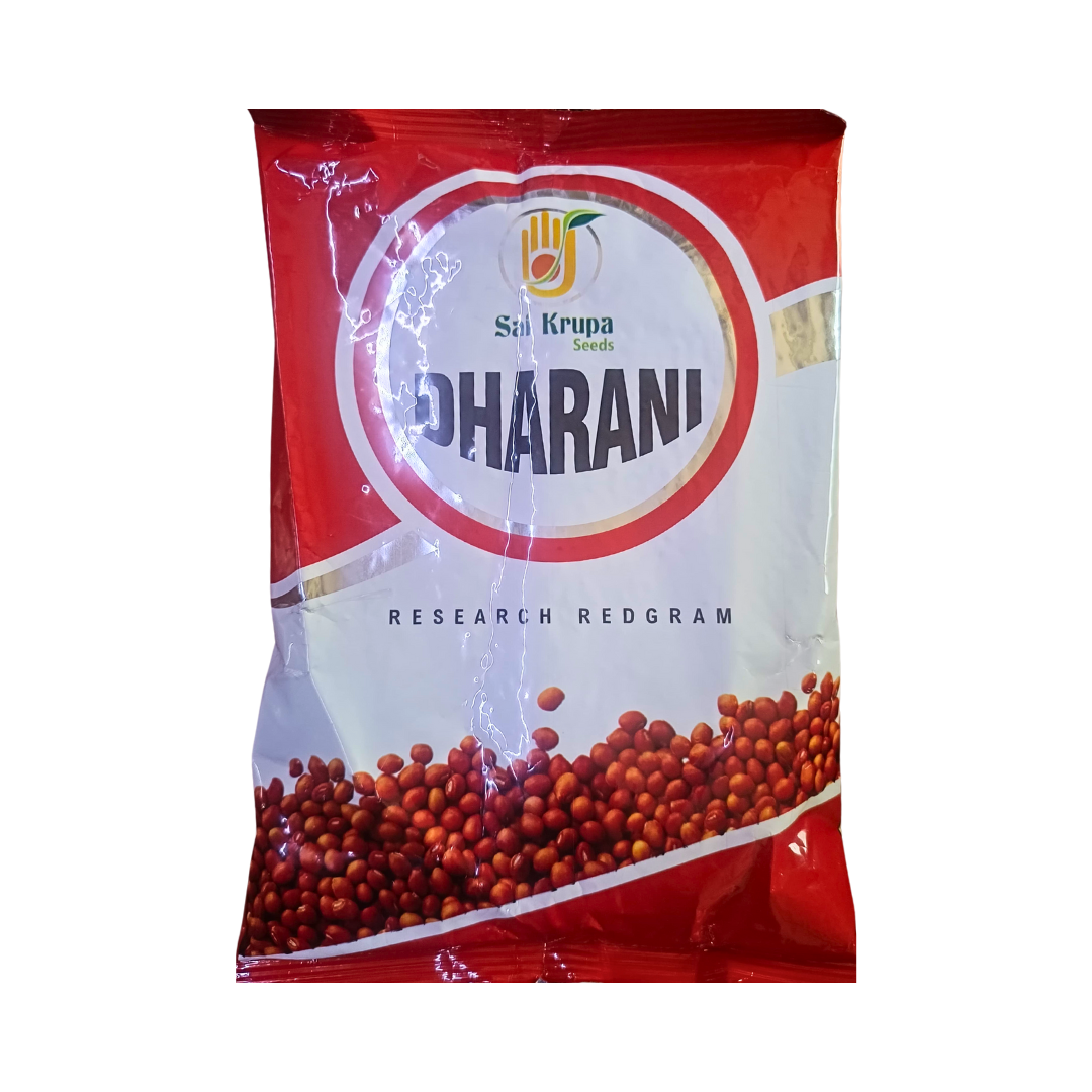 Dharani Red Gram Seeds - Sai Krupa Seeds | F1 Hybrid | Buy Online Now