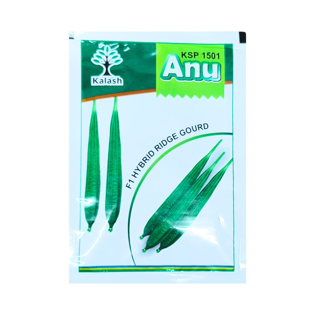 Anu (KSP-1501) Ridge Gourd Seeds - Kalash | F1 Hybrid | Buy Online Now