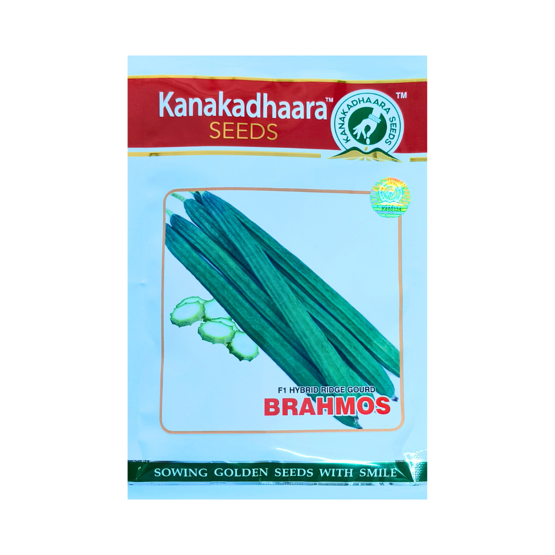 Brahmos Ridge Gourd Seeds - Kanakadhaara Seeds | F1 Hybrid | Buy Now