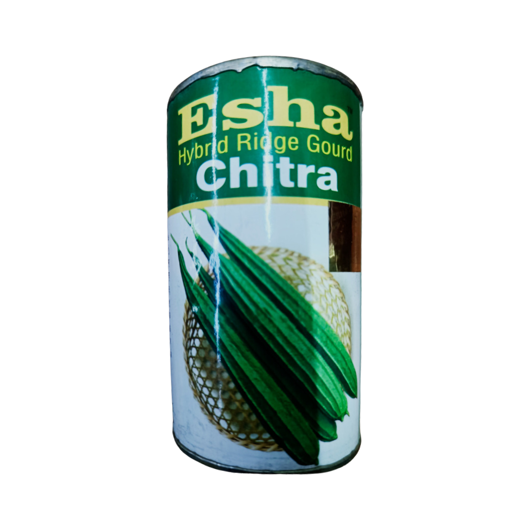 Chitra Ridge Gourd Seeds - Esha | F1 Hybrid | Buy Online - DesiKheti