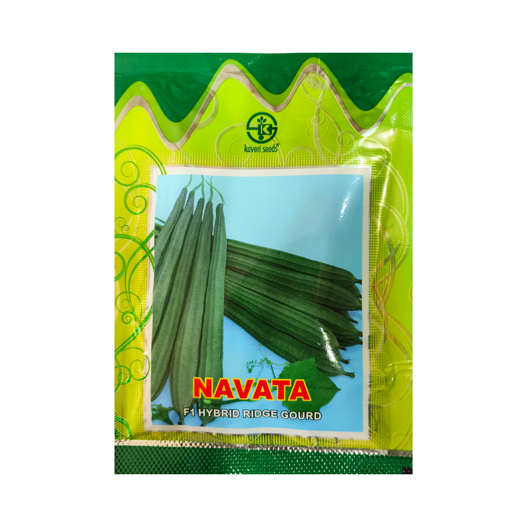 Navata Ridge Gourd Seeds - Kaveri Seeds | F1 Hybrid | Buy Online Now