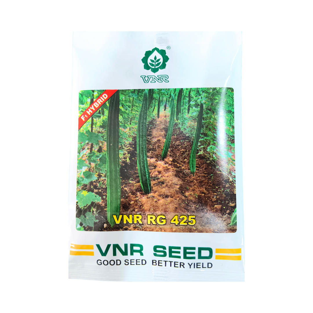 VNR RG 425 Ridge Gourd Seeds | F1 Hybrid | Buy Online at Best Price