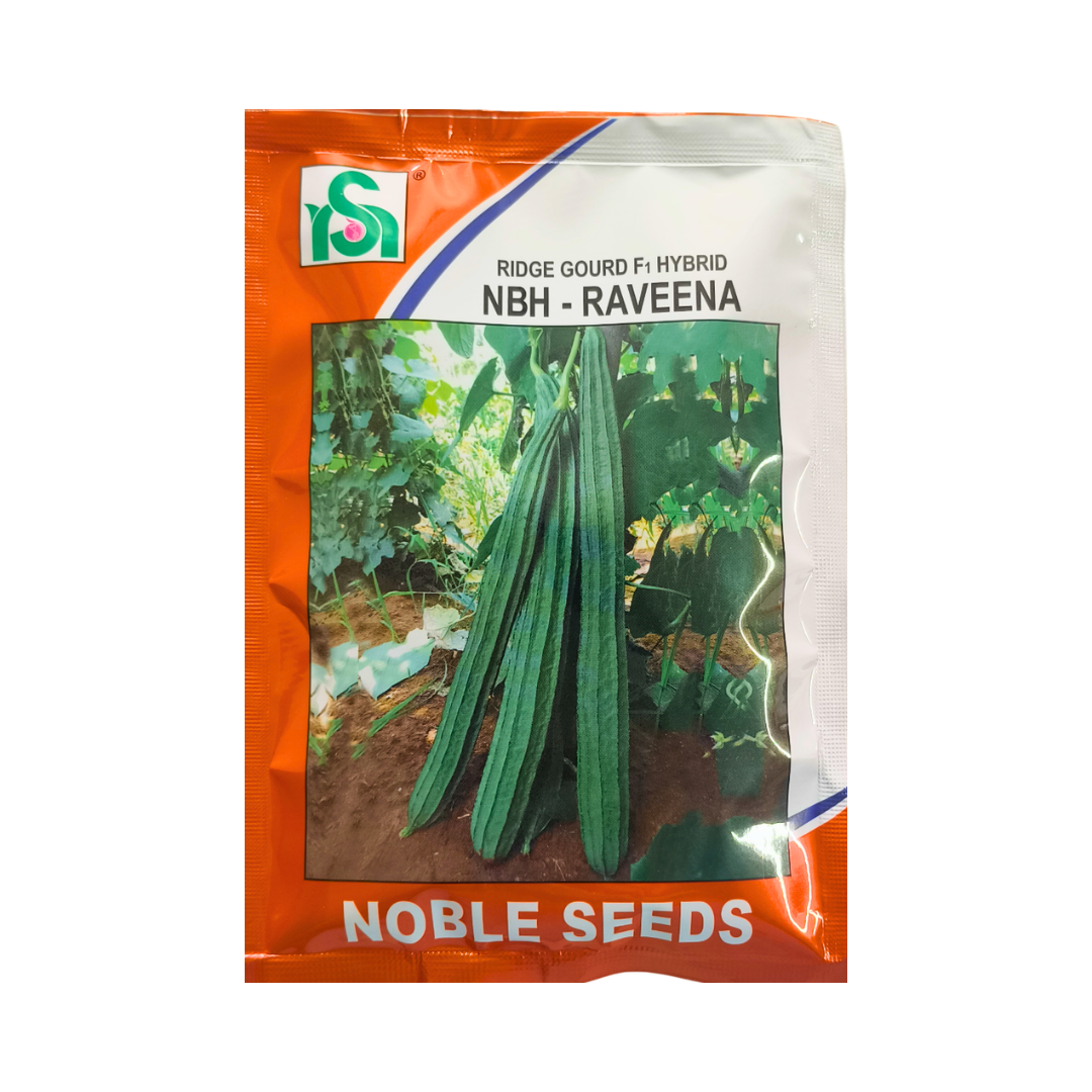 NBH - Raveena Ridge Gourd Seeds - Noble | F1 Hybrid | Buy Online at Best Price