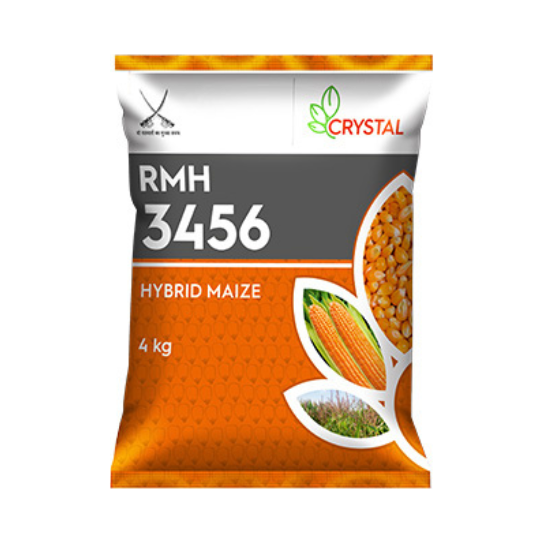 RMH 3456 Maize Seeds