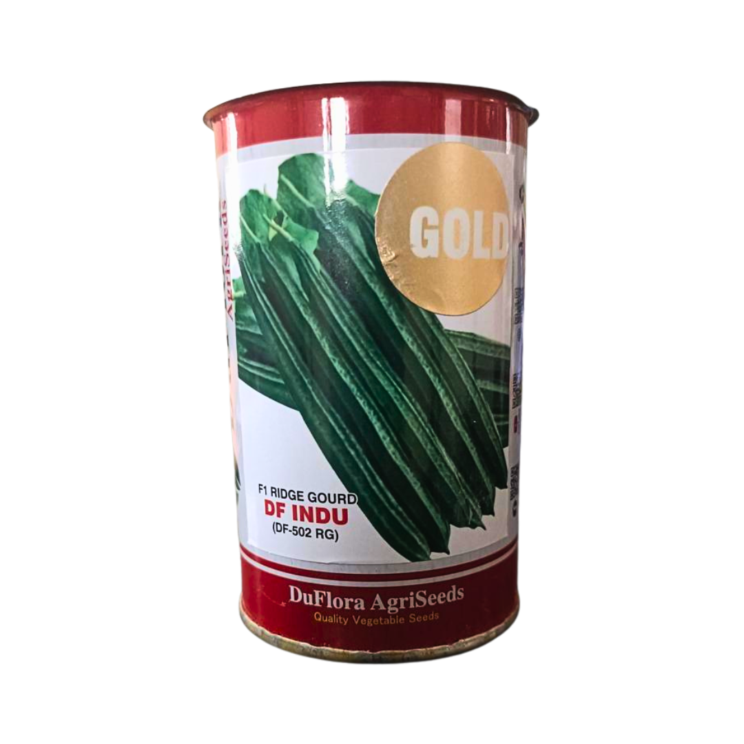 DF Indu Gold Ridge Gourd Seeds - DuFlora | F1 Hybrid | Buy Online Now