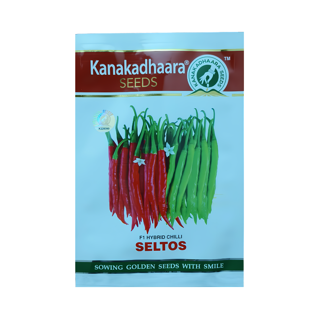 Seltos Chilli Seeds - Kanakadhaara Seeds | F1 Hybrid | Buy Online Now