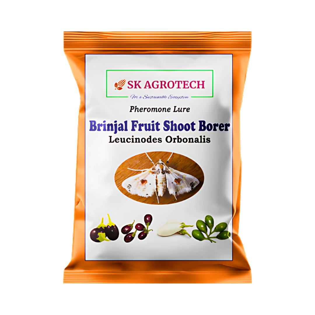 Sk Agrotech Brinjal Fruit & Shoot Borer Pheromone Lure | Buy Online