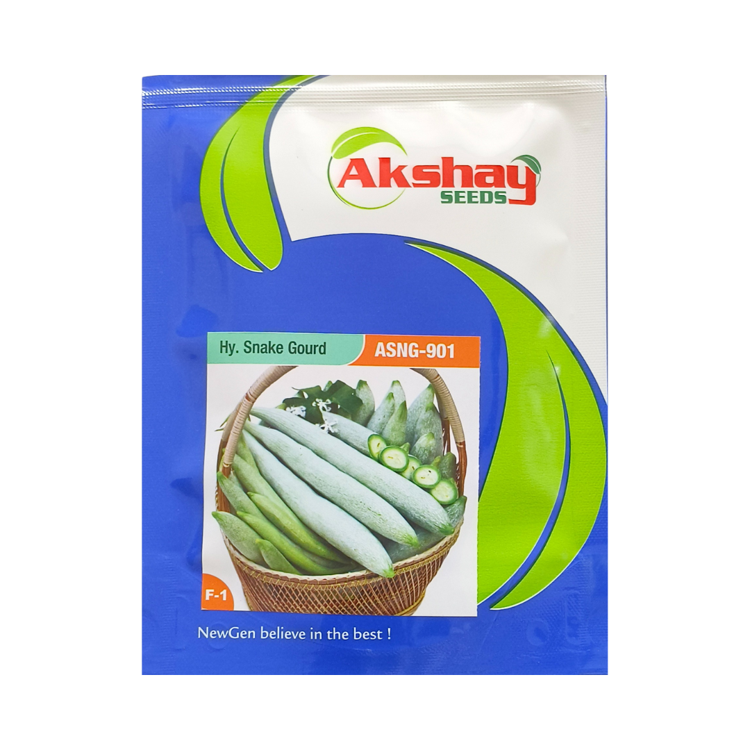 ASNG-901 Snake Gourd Seeds - Akshay Seeds | F1 Hybrid | Buy Online Now