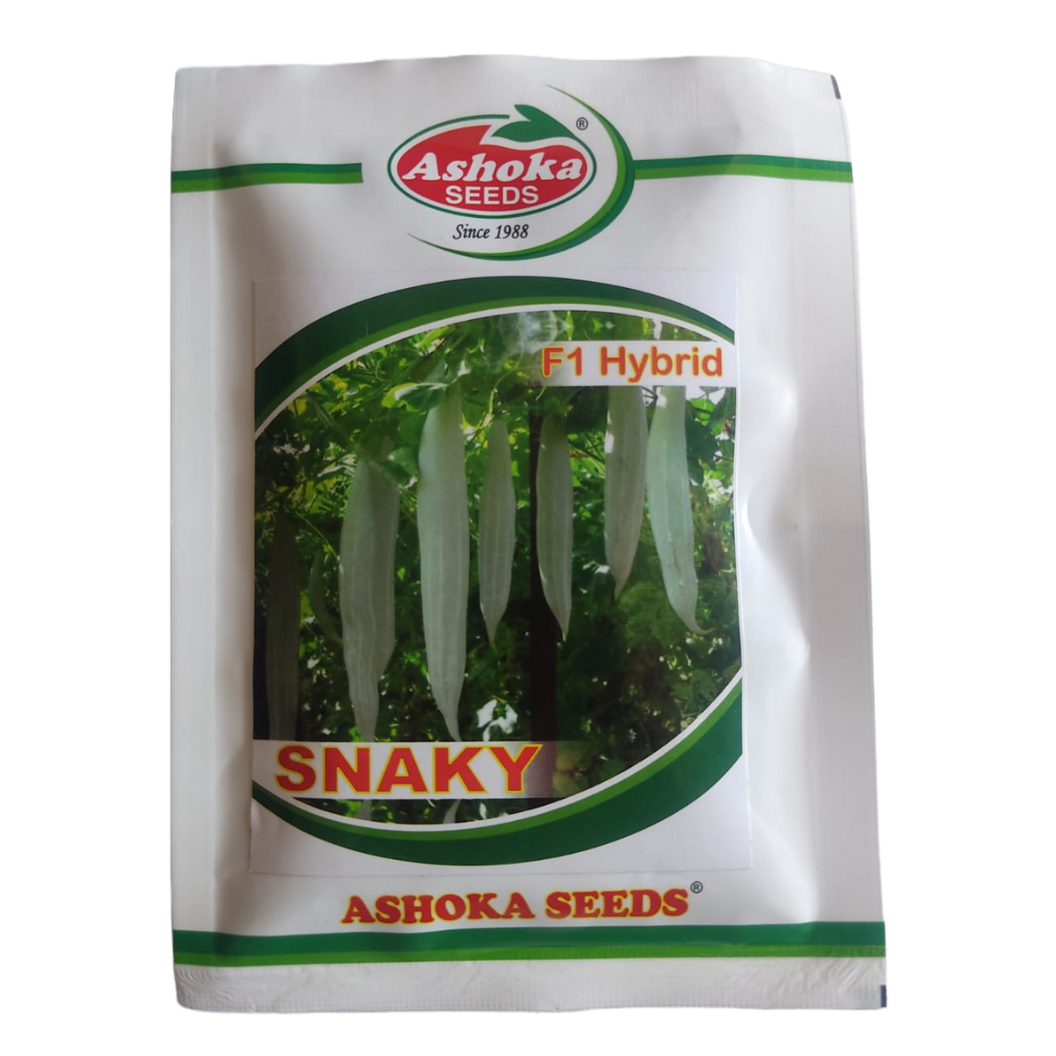 Snaky Snake Gourd - Ashoka | F1 Hybrid | Buy Online at Best Price