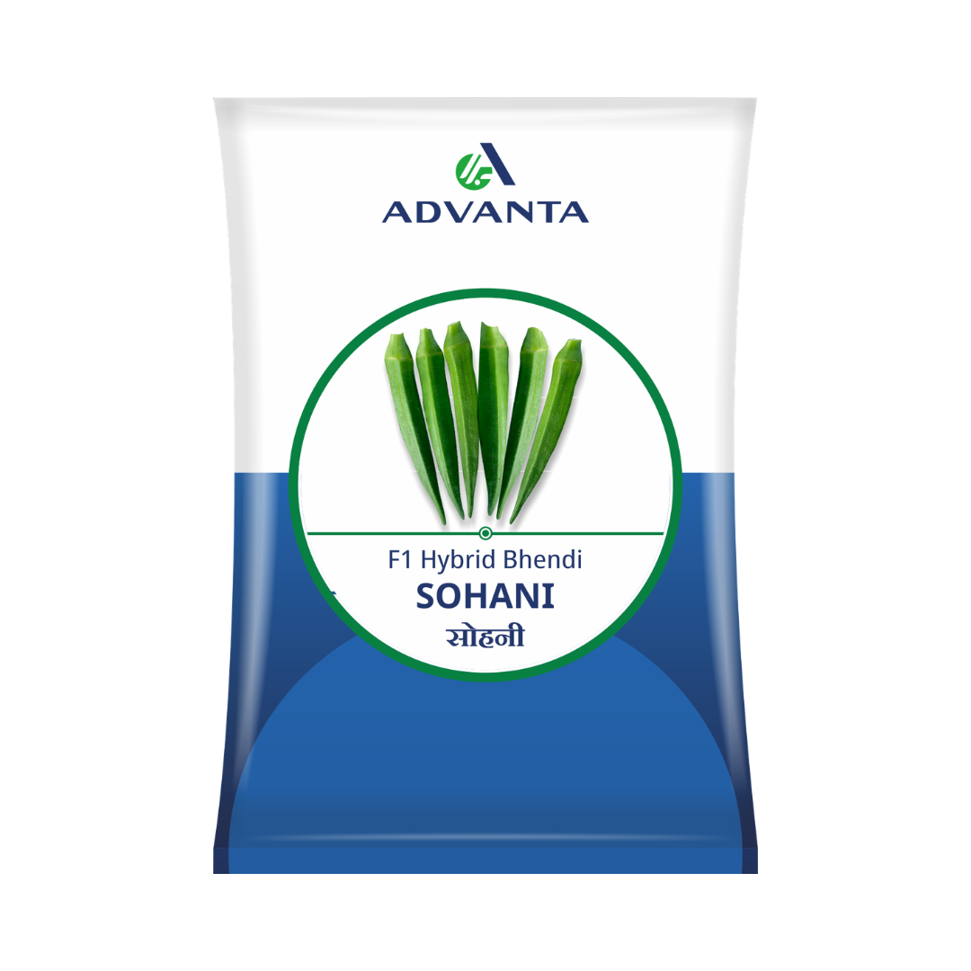 Sohani Bhendi Seeds - Advanta | F1 Hybrid | Buy Online at Best Price