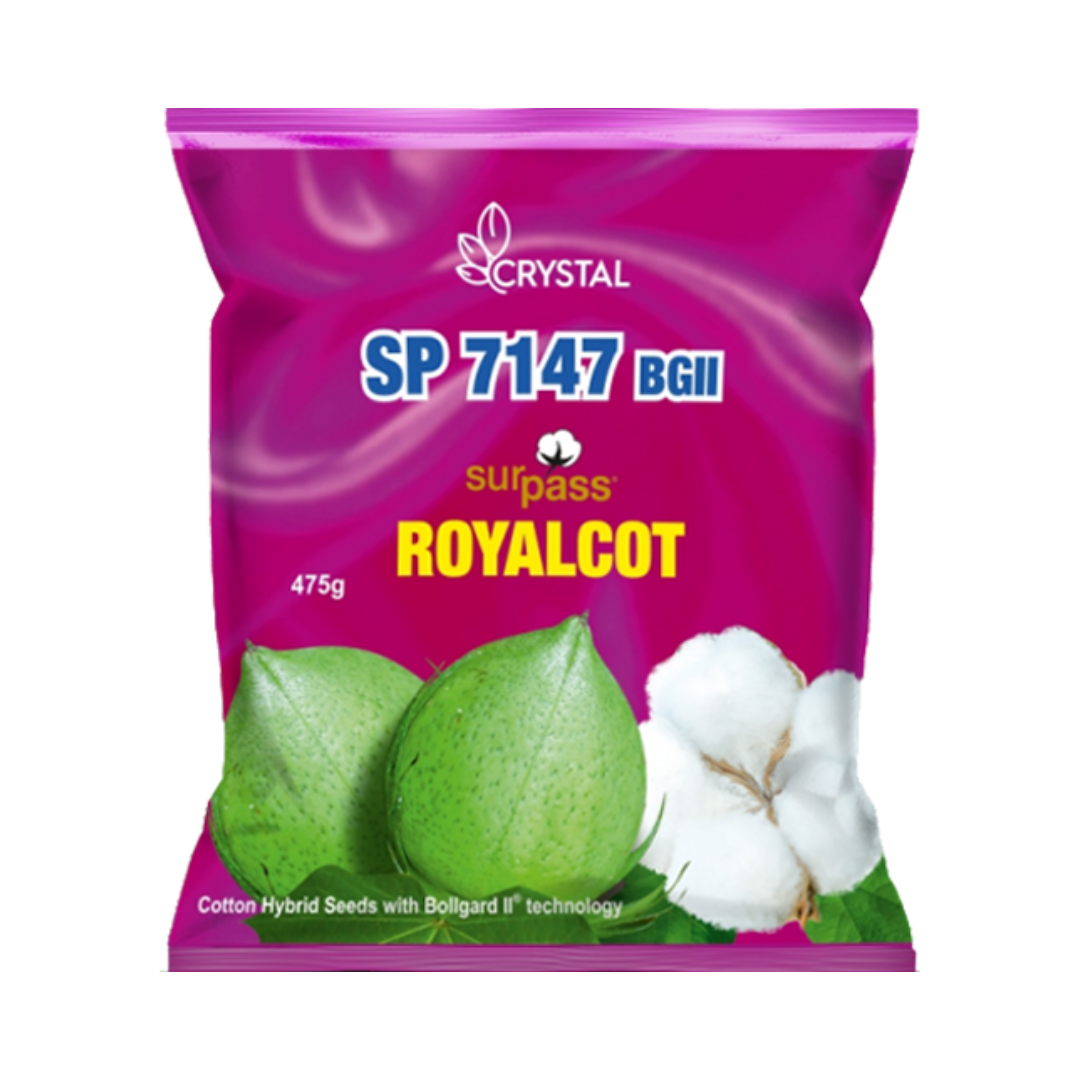 SP 7147 BG II Cotton Seeds - Crystal | F1 Hybrid | Buy Online Now