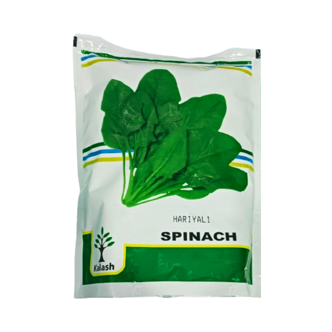 KSP 81 Hariyali Spinach Seeds - Kalash | F1 Hybrid | Buy Online at Best Price