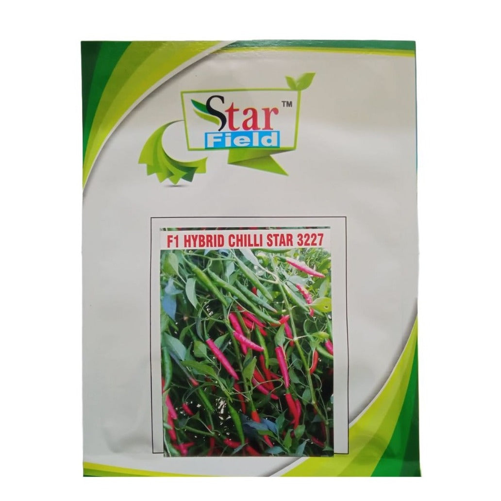 starfield plant the seed Star 3227 Chilli Seeds - Star Field | F1 Hybrid