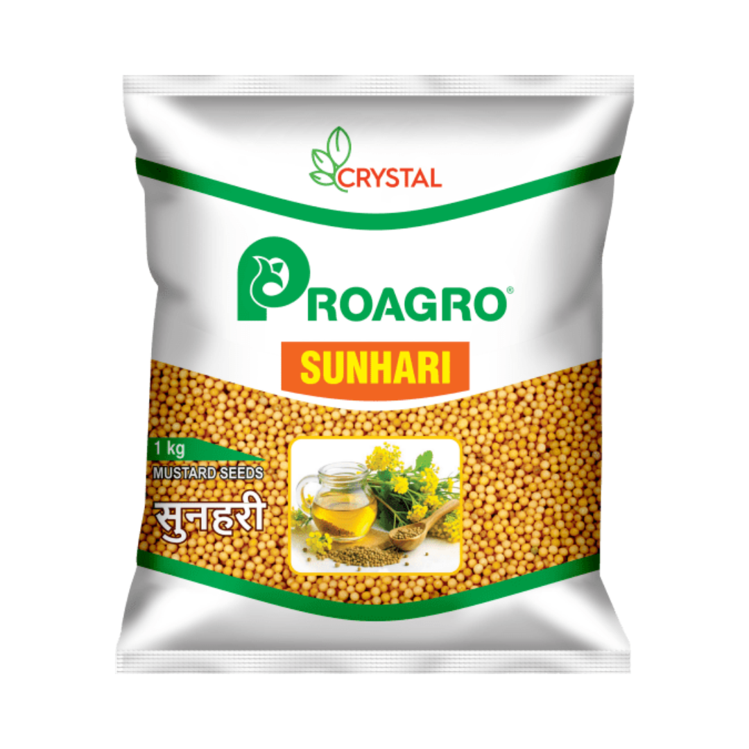 Sunhari Mustard Seeds
