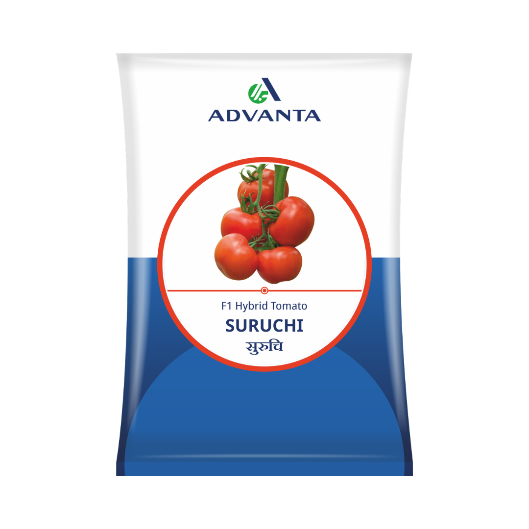 Suruchi Tomato Seeds - Advanta | F1 Hybrid | Buy Online at Best Price