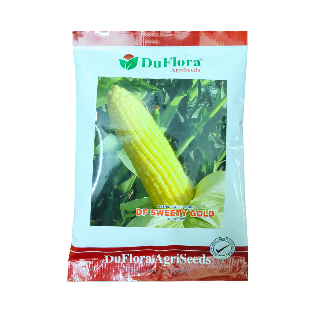DF Sweety Gold Sweet Corn Seeds - DuFlora | F1 Hybrid | Buy Online Now