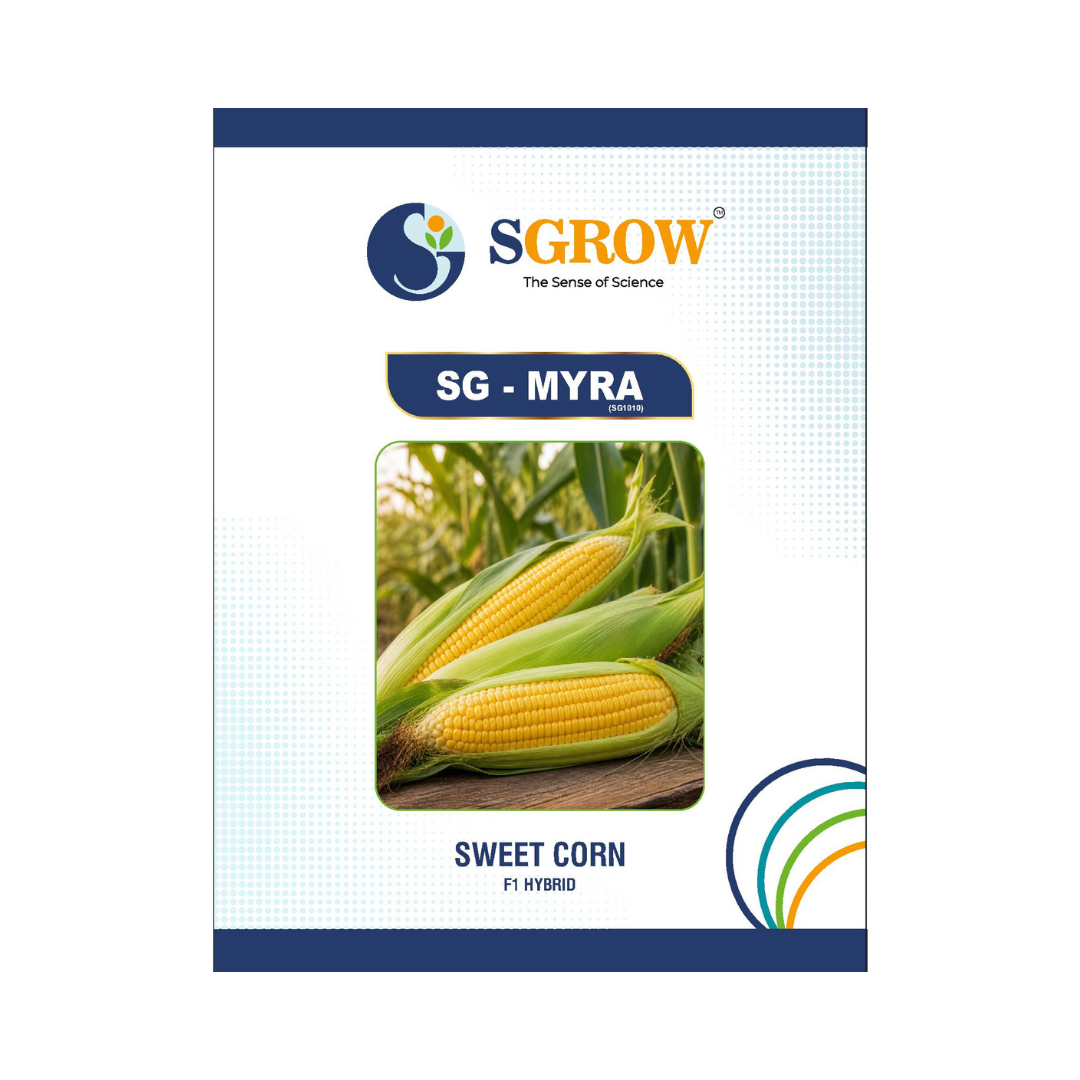 SG-Myra Sweet Corn Seeds - SGrow | F1 Hybrid | Buy Online at Best Price