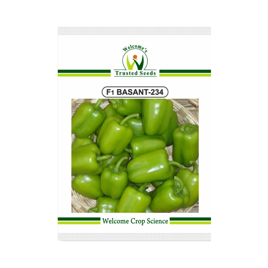 Basant-234 Capsicum Seeds - Welcome | F1 Hybrid | Buy Online Now