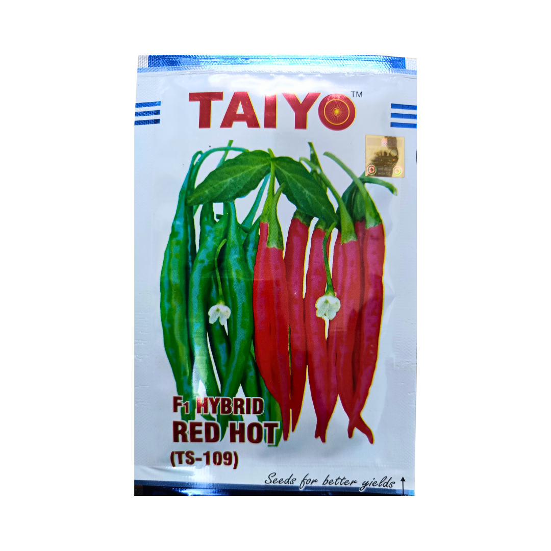 Red Hot (TS-109) Chilli Seeds